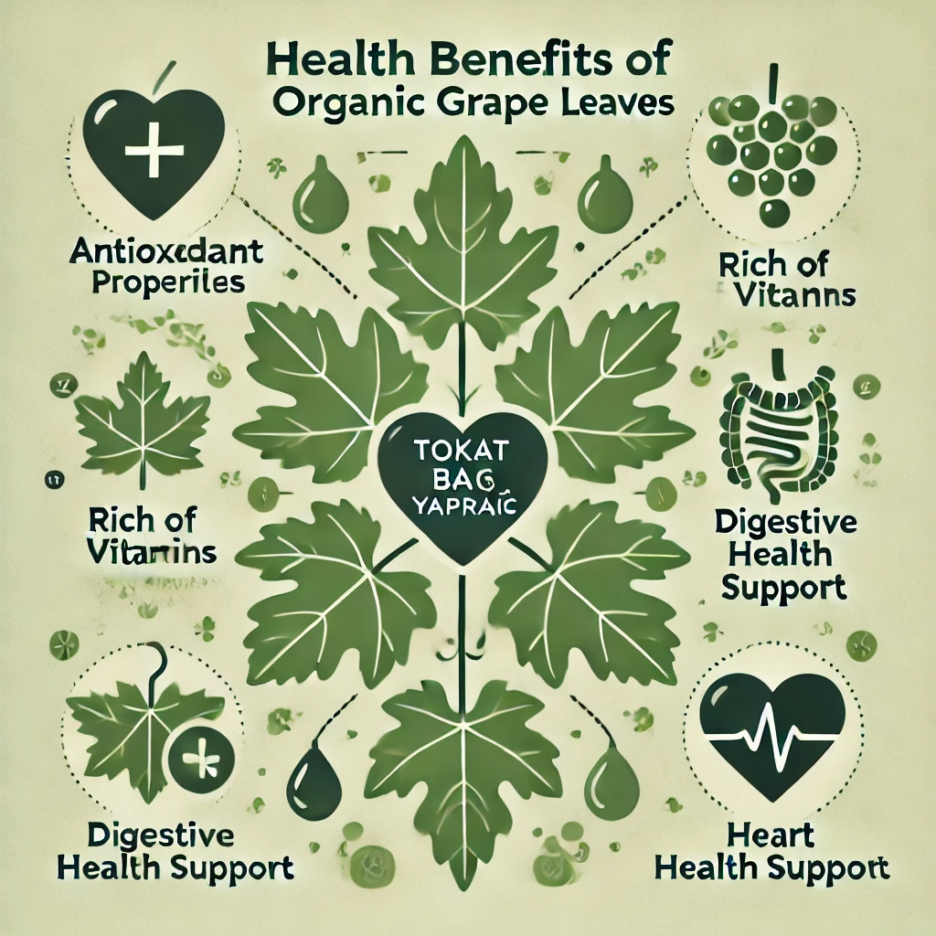 Organik Tokat Bağ Üzüm Yaprağının Sağlığa Faydaları